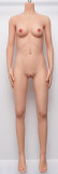 My Loli Waifu 160cm Dカップ W1ヘッド シリコンヘッド+TPE製ボディー  等身大リアルラブドール