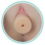PiperDoll トルソー 75cm Bカップ Arielヘッド シームレス TPE製ラブドール