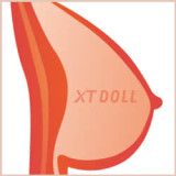 XTDOLL 168cm Cカップ  Aeleneヘッド 宣伝画像TPE製ボディ+シリコンヘッド 等身大リアルラブドール