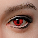 WAXDOLL 専用眼球 一つセット3500円