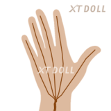XTDOLL 157cm Eカップ  Fayeヘッド 宣伝画像TPE製ボディ+シリコンヘッド 等身大リアルラブドール