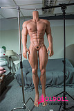 Qita Doll 最新作 177CM 韓さん フルシリコン製 筋肉タイプ 男性ラブドール ペニス分体式 宣伝画像日焼け肌色 等身大リアルドール イケメン
