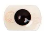 OLDOLL #DS3ヘッド 168cm Dカップ ユリちゃん 宣伝画像フルシリコン製 眉毛と睫毛植毛加工あり 等身大ラブドール