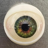 【12月31日まで Yearndollキャンペーン半額追加ヘッド単体専用ページ 条件不足場合半額対応不可】Yearndoll ヘッド単体  口開閉機能 リアルな口腔構造あり 等身大リアルラブドール 151-170cmのボディに適用 m16ボルトを採用
