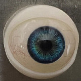 【12月31日まで Yearndollキャンペーン半額追加ヘッド単体専用ページ 条件不足場合半額対応不可】Yearndoll ヘッド単体  口開閉機能 リアルな口腔構造あり 等身大リアルラブドール 151-170cmのボディに適用 m16ボルトを採用