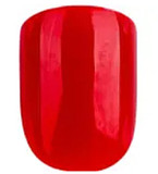 XTDOLL 164cm Cカップ  Phoebeヘッド  ROS開閉機能選択可能 宣伝画像フルシリコンドール 等身大リアルラブドール
