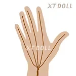 XTDOLL 150cm Dカップ  XiaoJoeヘッド 宣伝画像TPE製ボディ+シリコンヘッド 等身大リアルラブドール