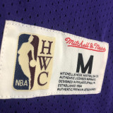 JOHNSON # 32 Lakers Purple Mitchell Ness Retro Jerseys