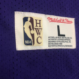 BRYANT # 8 Lakers Purple Mitchell Ness Retro Jerseys