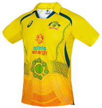 2022  Australia Yellow Cricket Jersey 澳大利亚