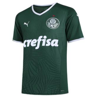 2022/23 Palmeiras 1:1 Home Green Fans Soccer Jersey