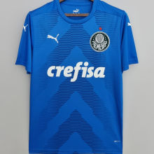 2022/23 Palmeiras Blue GK Soccer Jersey