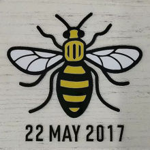 M Utd 2017-5-22 Bee Patch 曼联胸前小蜜蜂  (You can buy it alone OR tell us which jersey to print it on. )