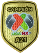 CAMPEON LIGA MX A21 Patch 墨西哥A21章  (You can buy it alone OR tell us which jersey to print it on. )