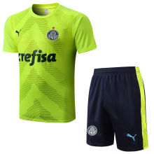 2022 Palmeiras Light Green Short Training Jersey(A Set) (D690)