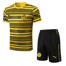 2022 BVB Yellow Short Training Jersey(A Set)(D665)