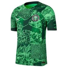 2022/23 Nigeria Home Green Fans Soccer Jersey