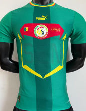 2022/23 Senegal Away Green Player Version Jersey