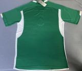 2022/23 Algeria Away Green Fans Jersey