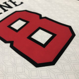 Bulls LAVINE #8 White City Edition NBA Jerseys