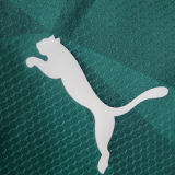2023/24 Palmeiras 1:1 Qualit Home Green Fans Soccer Jersey