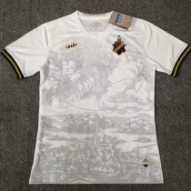 2023 AIK Solna 132th Anniversary Edition Fans Jersey AIK索尔纳