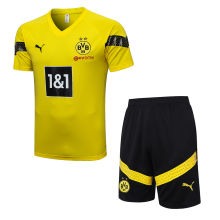 2022/23 BVB Yellow Short Training Jersey(D763)