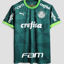 2023/24 Palmeiras 1:1 Home Green Fans Jersey (All Sponsor 全广告)