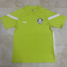 2023 Palmeiras Light Green Training Jersey