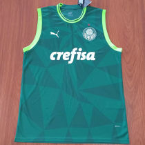 2023/24 Palmeiras Home Green Vest Jersey