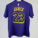 2023/24 Lakers JAMES #23 Purple Training  Short sleeve  NBA Jersey
