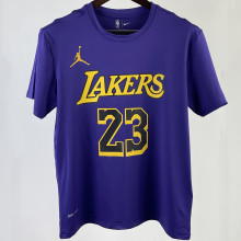 2023/24 Lakers JAMES #23 Purple Training  Short sleeve  NBA Jersey