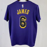 2023/24 Lakers JAMES #6 Purple Training  Short sleeve  NBA Jersey