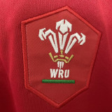 2023 Wales RUGBY WORLD CUP Home Red Rugby Jersey 威尔士