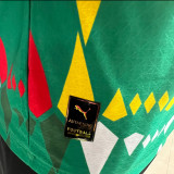 2023/24 Senegal Green Player Version Jersey