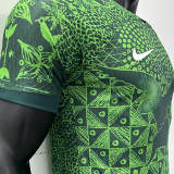 2022/23 Nigeria Home Green Player Version Jersey