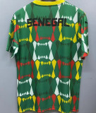2023/24 Senegal Green Fans Jersey