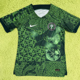 2022/23 Nigeria Home Green Player Version Jersey