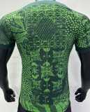2022/23 Nigeria Home Green Player Version Jersey
