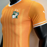 2022/23 Ivory Coast Home Orange Player Version Jersey