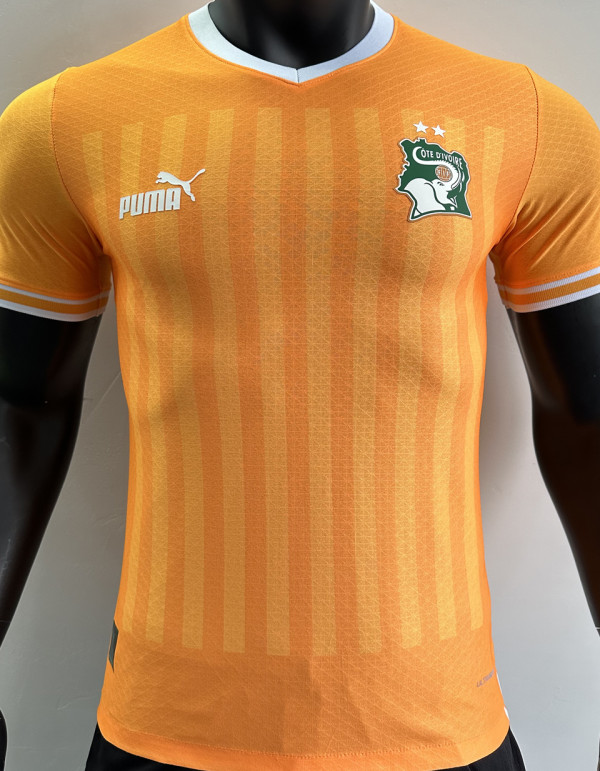 2022/23 Ivory Coast Home Orange Player Version Jersey
