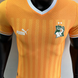 2022/23 Ivory Coast Home Orange Player Version Jersey