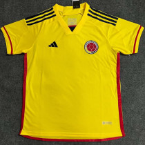 2023/24 Colombia Home Yellow Fans Soccer Jersey