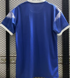 2023/24 Japan Special Edition Blue Fans Soccer Jersey