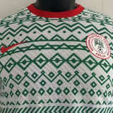 2023/24 Nigeria Player Version Training Jersey