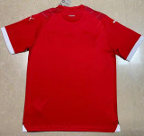 2023/24 Switzerland Home Red Fans Soccer Jersey
