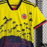 2023/24 Colombia Yellow Special Edition Fans Jersey