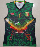 2023/24 Mali Vest Jersey