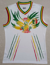 2023/24 Mali Vest Jersey