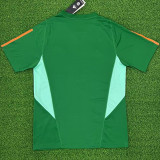 2024 M Utd Green Fans Training Jersey